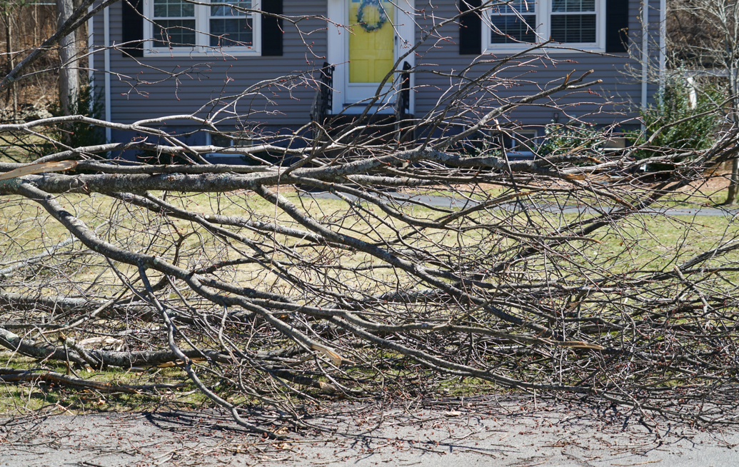 Storm damage? You may qualify for a low interest loan